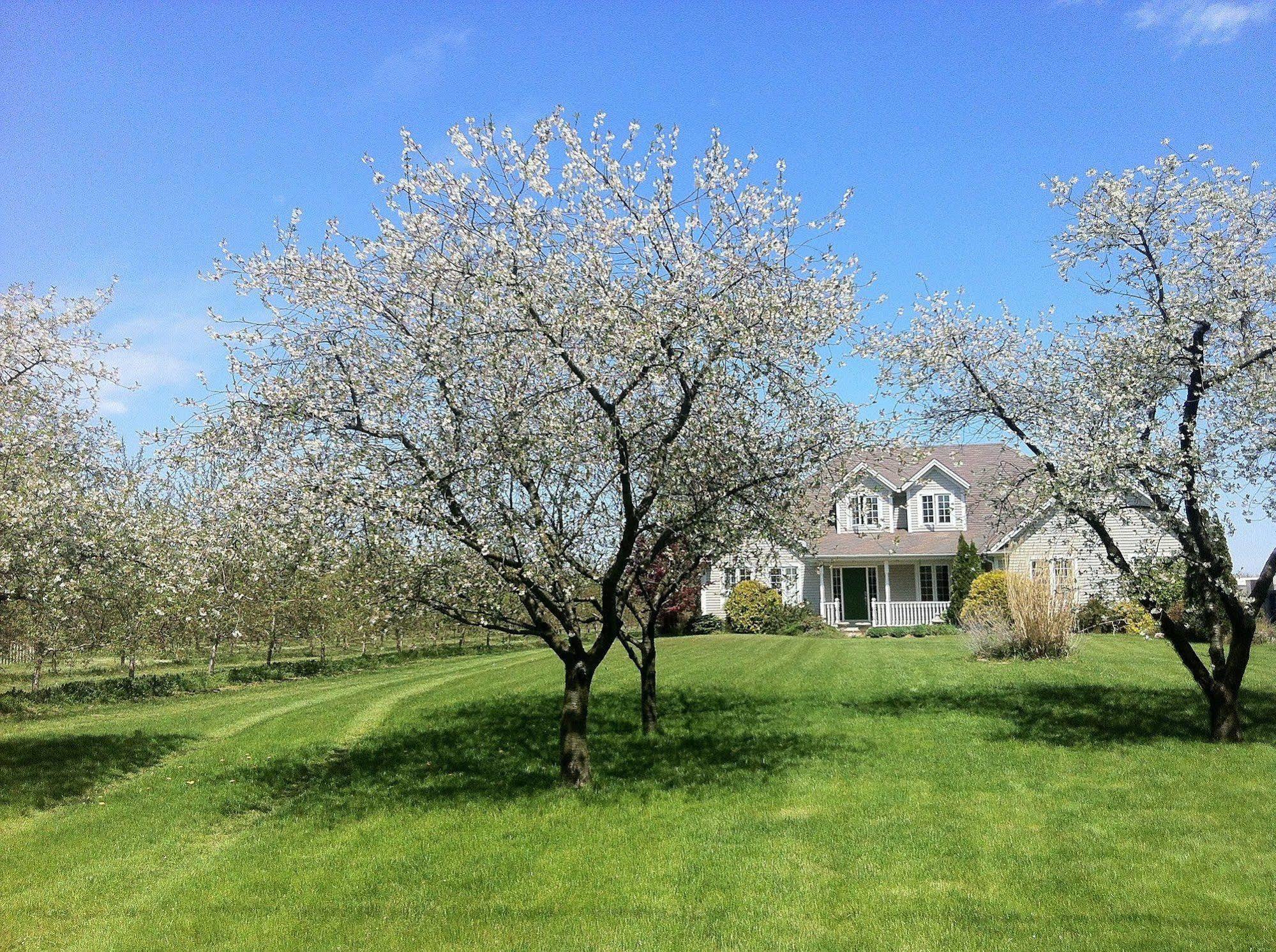 The Orchard Croft Boutique Country Retreat Bed and Breakfast Jordan Esterno foto
